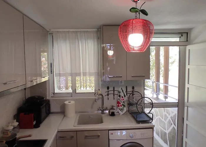 House *